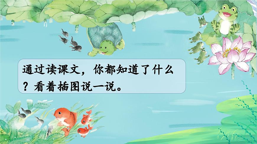 小蝌蚪找媽媽 課件第6頁