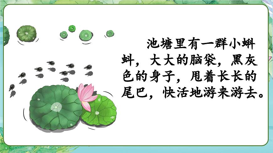 小蝌蚪找媽媽 課件第7頁