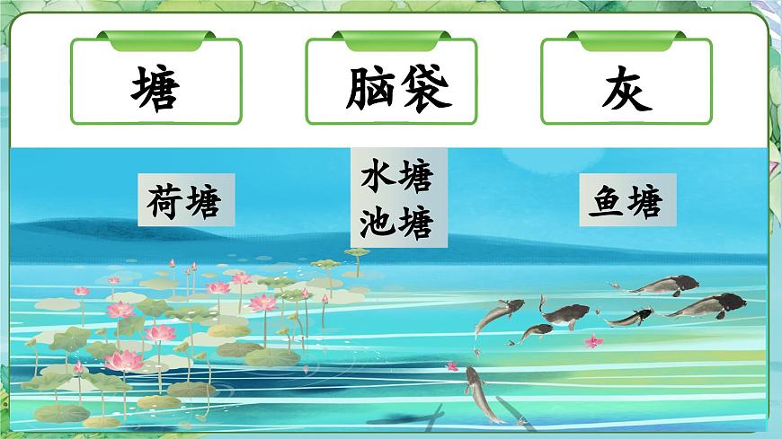 小蝌蚪找媽媽 課件第8頁