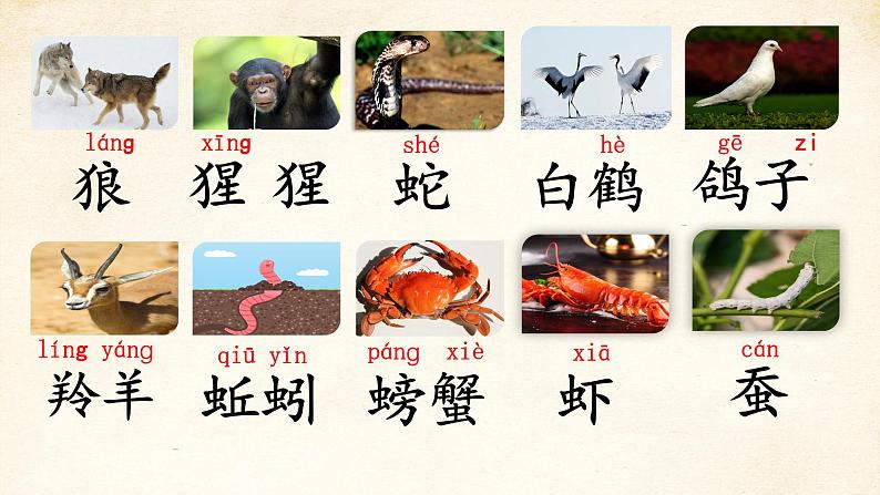 【新课标-核心素养】部编版语文二上 《语文园地八》课件+教案+音视频素材+课文朗读06