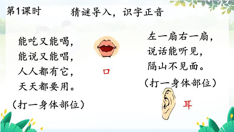 部编2024语文一年级上册 第1单元 3 口耳目手足 PPT课件02