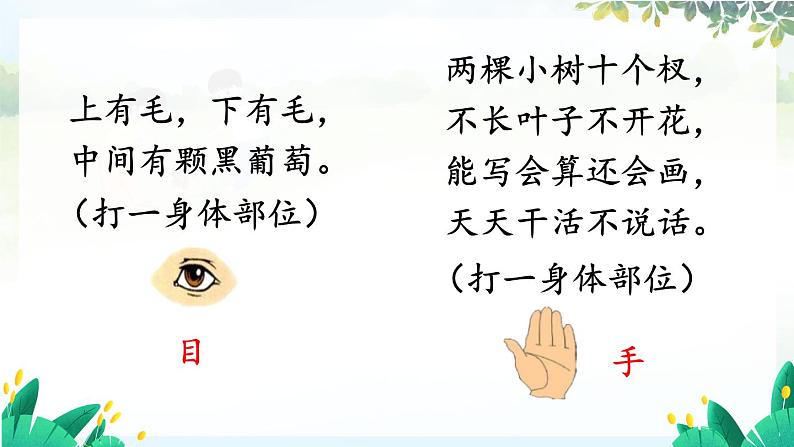 部编2024语文一年级上册 第1单元 3 口耳目手足 PPT课件03