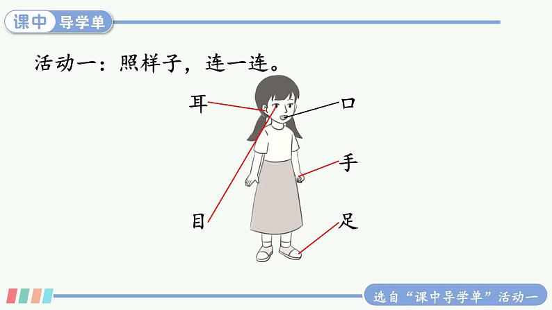 部编2024语文一年级上册 第1单元 3 口耳目手足 PPT课件07
