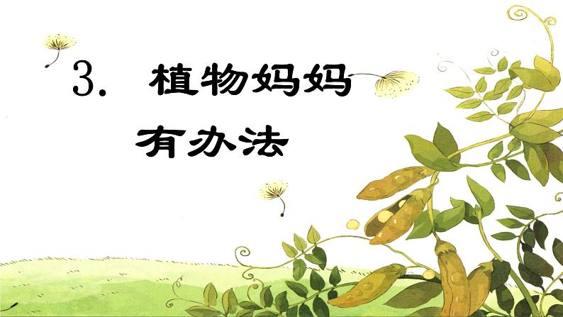 第3课 《植物妈妈有办法》 -2024-2025学年二年级语文上册同步精品课件(统编版)第1页