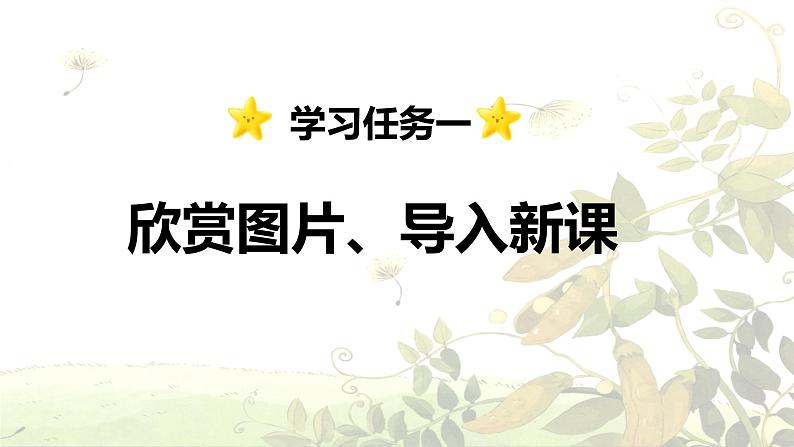 第3课 《植物妈妈有办法》 -2024-2025学年二年级语文上册同步精品课件(统编版)第3页