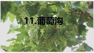 统编版（2024）二年级上册葡萄沟图文ppt课件