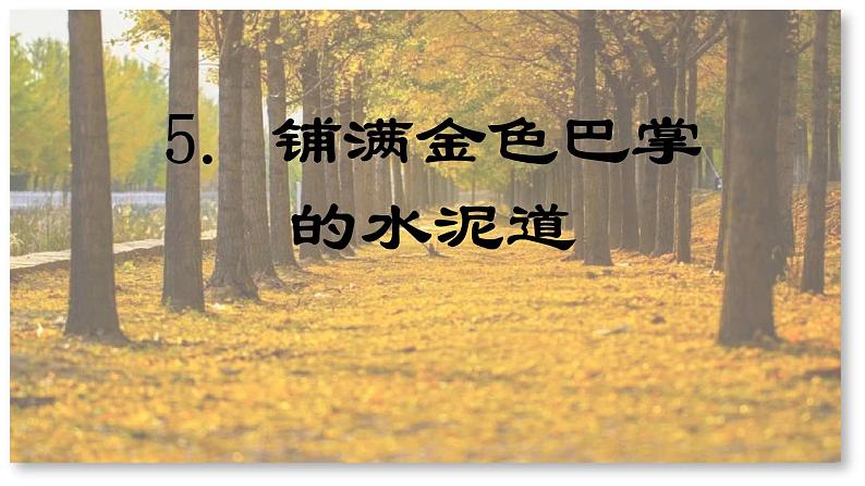 第5课 《铺满金色巴掌的水泥道》 -2024-2025学年三年级语文上册同步精品课件(统编版)第1页