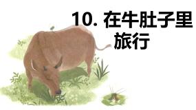 统编版（2024）三年级上册在牛肚子里旅行示范课ppt课件