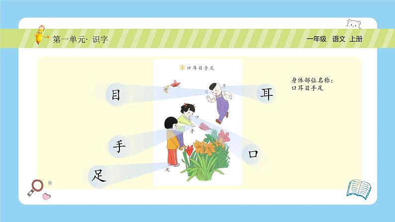 【新课标】统编版(2024秋)小学语文一年级上册《口耳目手足》PPT课件(内嵌音频和视频)+教案+字体06