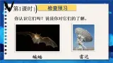 【情景教学】部编版小学语文4上 6《夜间飞行的秘密》课件+教案（含教学反思）