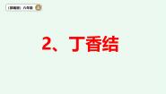 小学语文统编版（2024）六年级上册丁香结示范课ppt课件