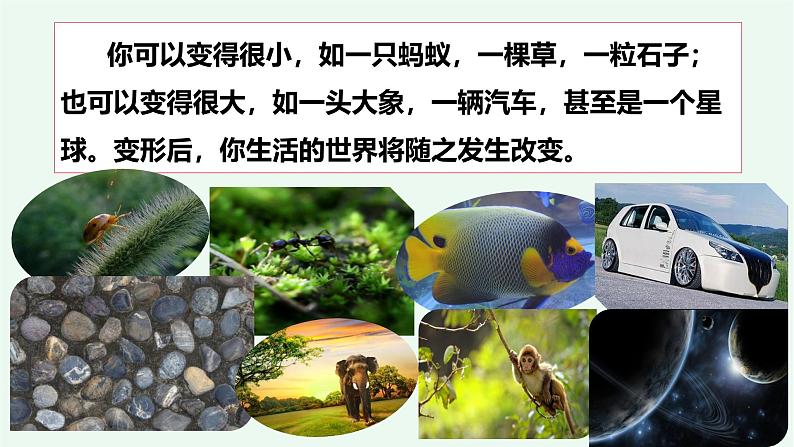 【阳光语文】习作一《变形记》 课件——2024-2025学年六年级上册(部编版)06