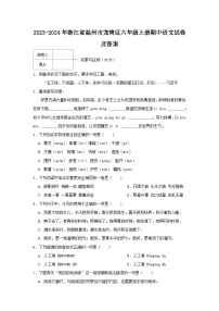 2023-2024学年浙江省温州市龙湾区六年级上册期中语文试卷及答案