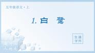 统编版（2024）五年级上册白鹭图片ppt课件