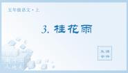 语文五年级上册桂花雨图文ppt课件