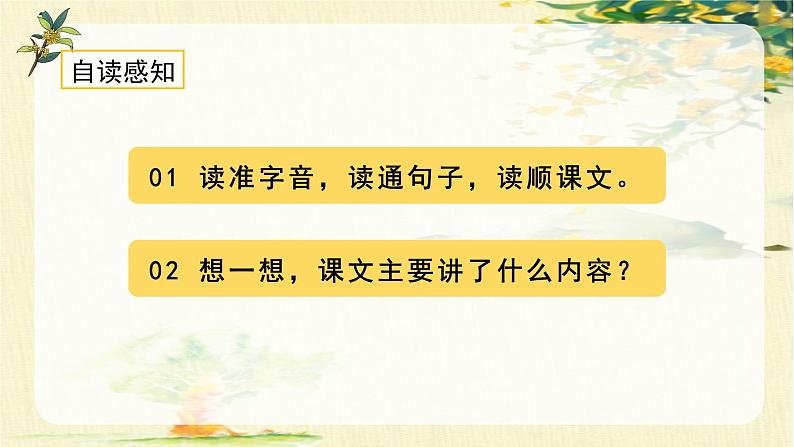 统编版(2024)五年级语文上册3.《桂花雨》教学课件04