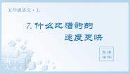 小学语文统编版（2024）五年级上册什么比猎豹的速度更快示范课ppt课件