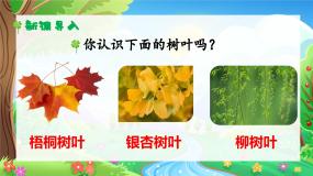小学语文统编版（2024）二年级上册树之歌一等奖课件ppt