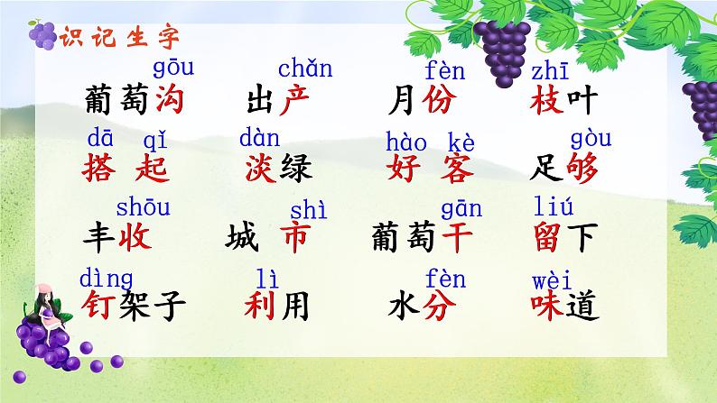 11葡萄沟第4页