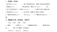 小学语文统编版（2024）二年级上册小蝌蚪找妈妈综合训练题