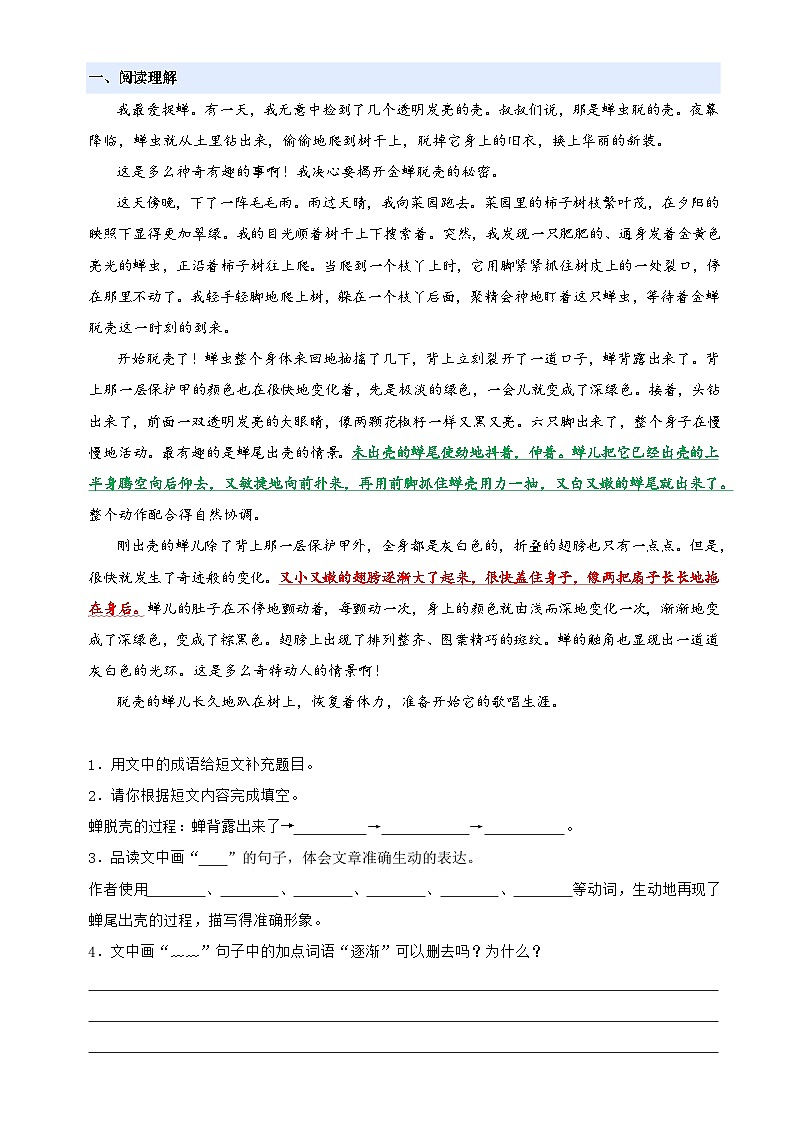 3、四上语文第三单元“连续观察”主题阅读教案【要点梳理+真题演练】学生版 2024-2025学年统编版03
