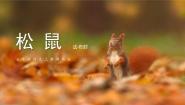 统编版（2024）松鼠完美版课件ppt