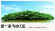 小学语文统编版（2024）五年级上册鸟的天堂获奖课件ppt