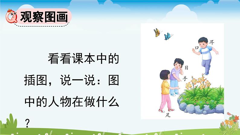 统编版(2024)一年级上册语文识字3 口耳目手足课件03