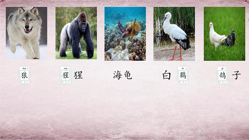 统编版语文二年级上册语文园地八 课件03