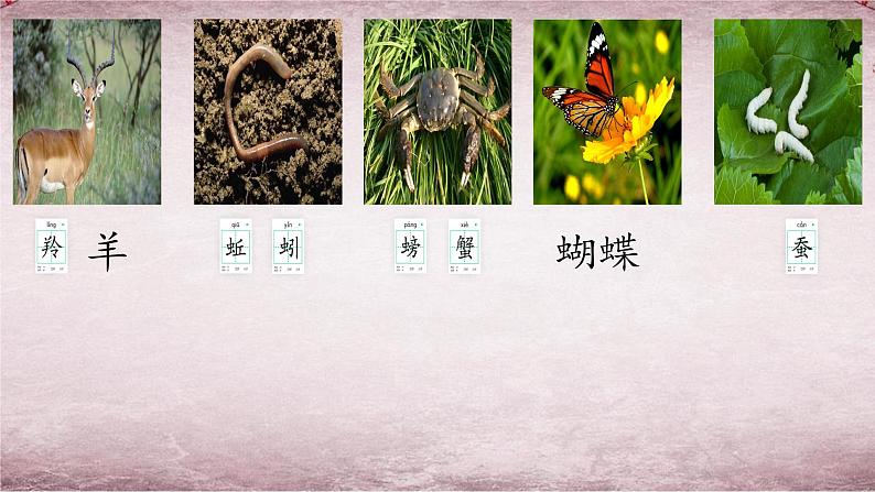 统编版语文二年级上册语文园地八 课件04