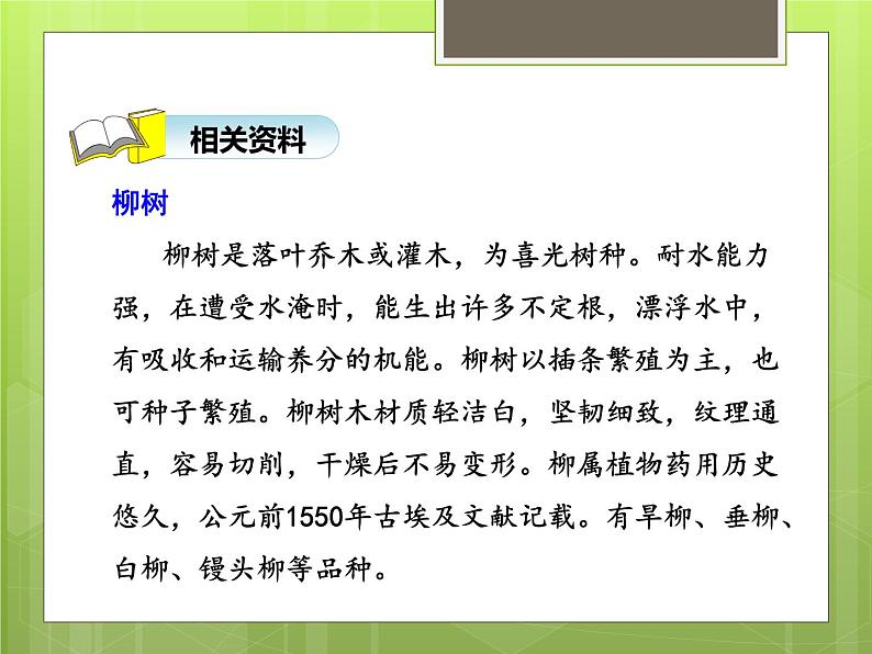 1.古诗二首《咏柳》课件-2024-2025学年统编版语文二下第8页