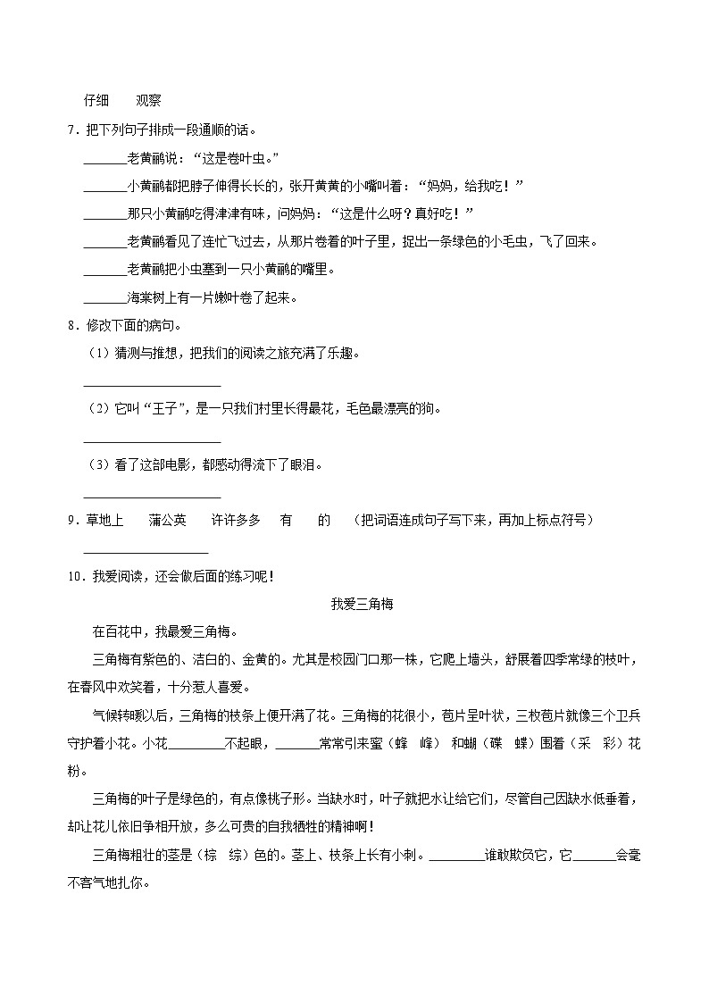 第五单元练习卷 (提高练习)2024-2025学年三年级上册语文统编版02