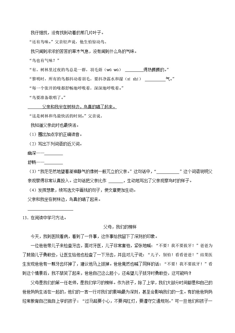 第七单元练习卷 (基础练习)2024-2025学年三年级上册语文统编版03