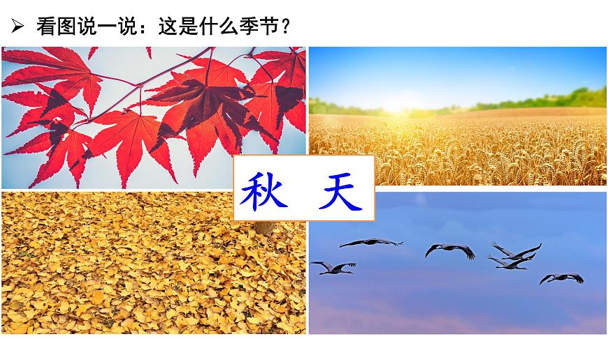 課文 1秋天第1頁