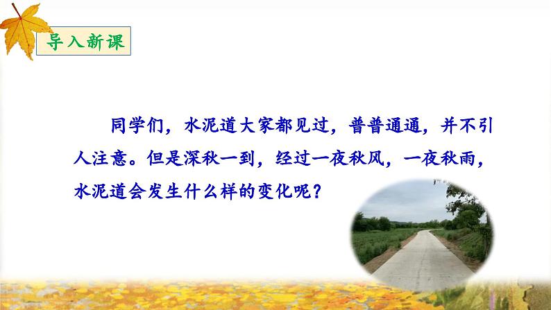 《铺满金色巴掌的水泥道》教学设计与指导课件(第一课时)第3页