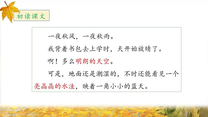 《铺满金色巴掌的水泥道》教学设计与指导课件(第一课时)第6页