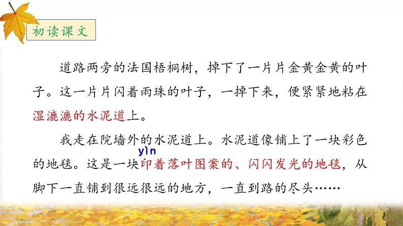 《铺满金色巴掌的水泥道》教学设计与指导课件(第一课时)第8页