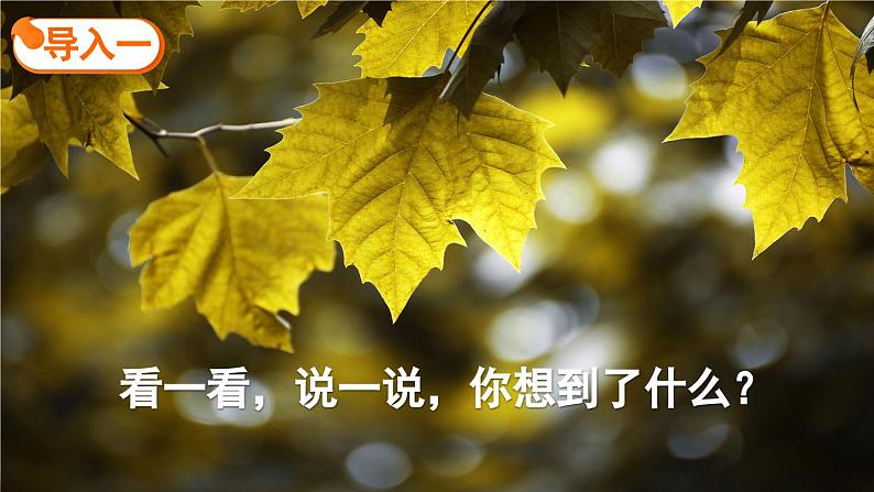 《铺满金色巴掌的水泥道》精品课件(第一课时)第3页