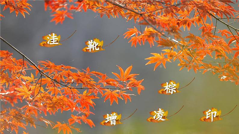 《铺满金色巴掌的水泥道》精品课件(第一课时)第7页