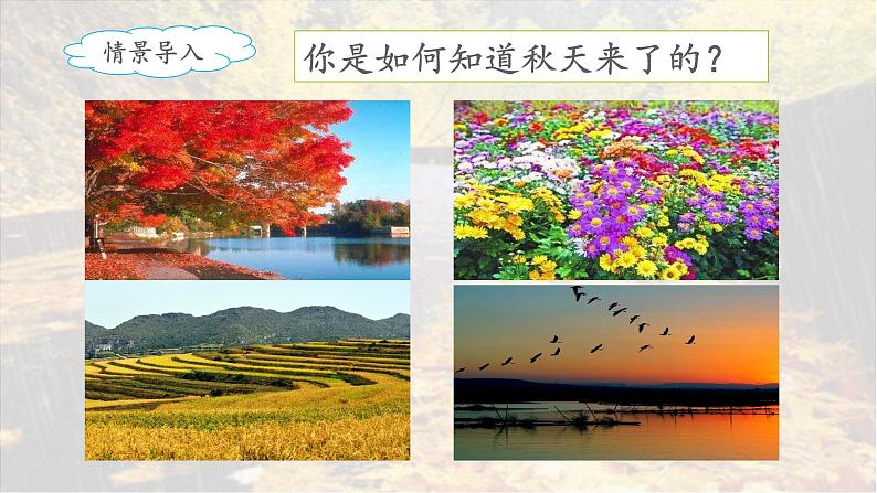《秋天的雨》名师课件(第一课时)第2页