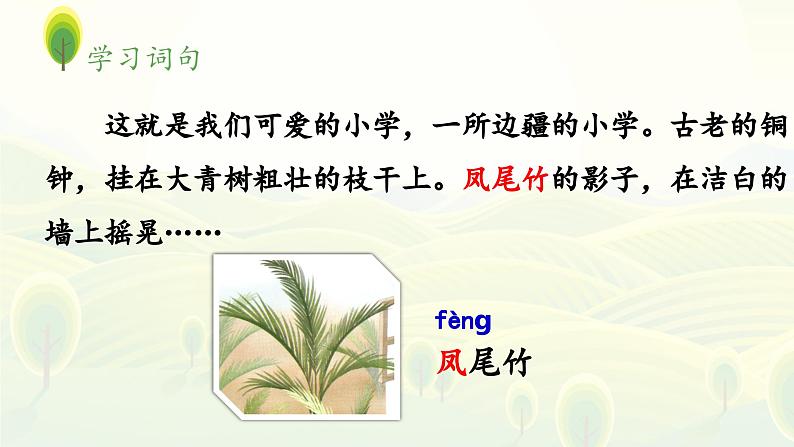 《大青树下的小学》 课件(第一课时)第8页