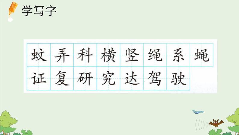 《夜间飞行的秘密》优质课件(第一课时)第6页