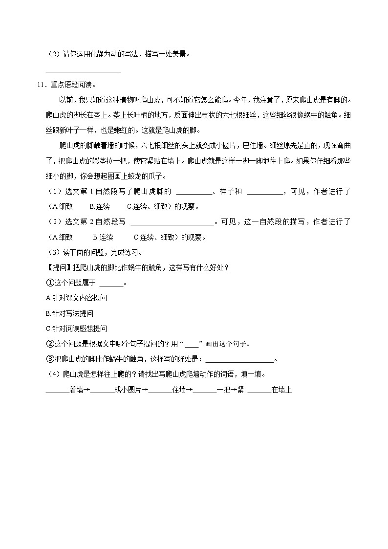 10 爬山虎的脚(进阶练习)2024-2025学年四年级上册语文统编版第3页