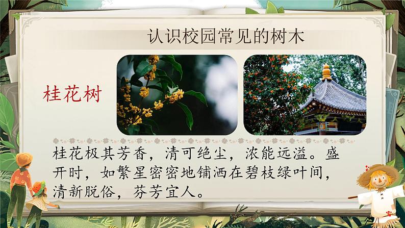 《树之歌》第8页