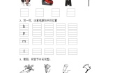 统编版（2024）一年级上册（2024）3 b p m f同步练习题