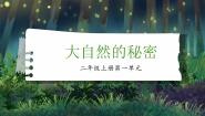 小学语文统编版（2024）二年级上册小蝌蚪找妈妈精品课件ppt