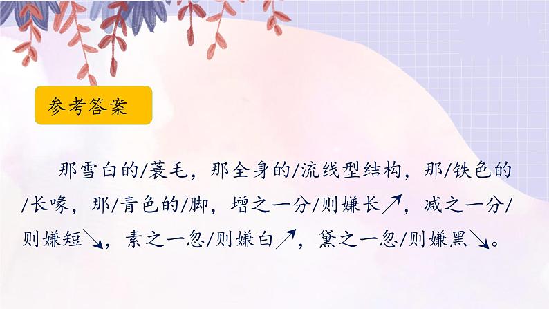 《白鹭》课后题课件04