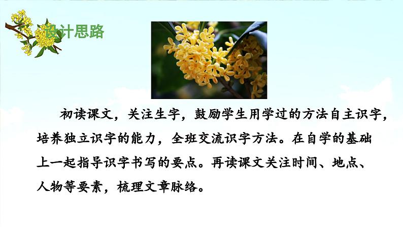 《桂花雨》 课件(第一课时)02