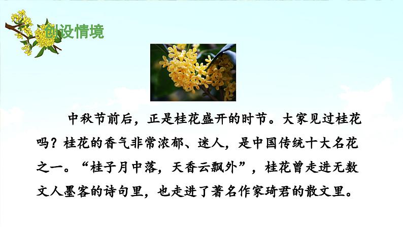 《桂花雨》 课件(第一课时)05