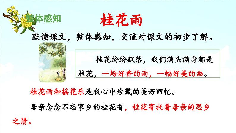 《桂花雨》 课件(第一课时)06